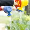 Watering the Garden